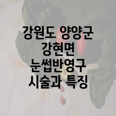 강원도 양양군 강현면 눈썹반영구 시술과 특징