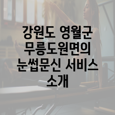 강원도 영월군 무릉도원면의 눈썹문신 서비스 소개