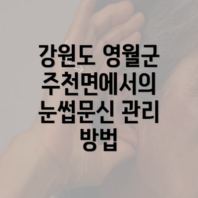 강원도 영월군 주천면에서의 눈썹문신 관리 방법