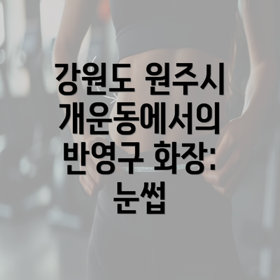 강원도 원주시 개운동에서의 반영구 화장: 눈썹