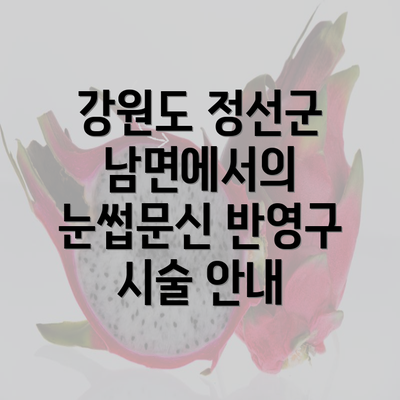 강원도 정선군 남면에서의 눈썹문신 반영구 시술 안내