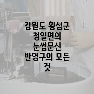 강원도 횡성군 청일면의 눈썹문신 반영구의 모든 것