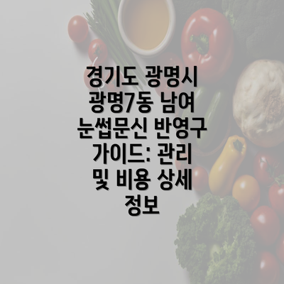 경기도 광명시 광명7동 남여 눈썹문신 반영구 가이드: 관리 및 비용 상세 정보