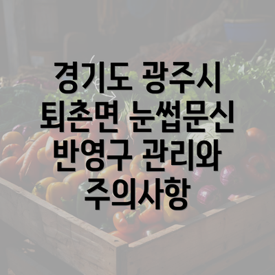 경기도 광주시 퇴촌면 눈썹문신 반영구 관리와 주의사항