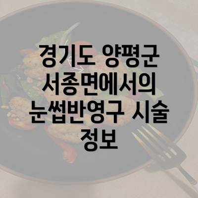 경기도 양평군 서종면에서의 눈썹반영구 시술 정보