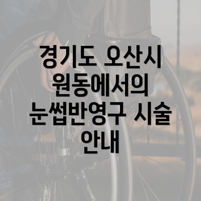 경기도 오산시 원동에서의 눈썹반영구 시술 안내