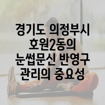 경기도 의정부시 호원2동의 눈썹문신 반영구 관리의 중요성