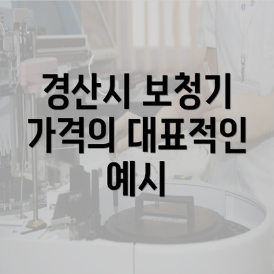 경산시 보청기 가격의 대표적인 예시