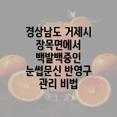 경상남도 거제시 장목면에서 백발백중인 눈썹문신 반영구 관리 비법