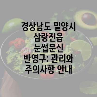 경상남도 밀양시 삼랑진읍 눈썹문신 반영구: 관리와 주의사항 안내