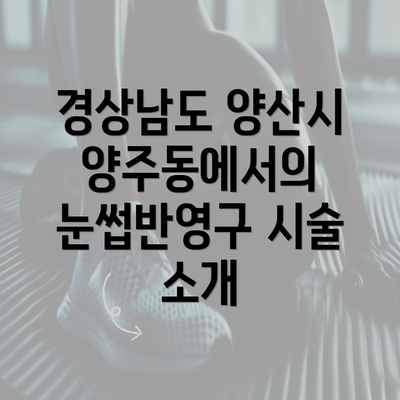 경상남도 양산시 양주동에서의 눈썹반영구 시술 소개