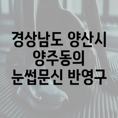 경상남도 양산시 양주동의 눈썹문신 반영구