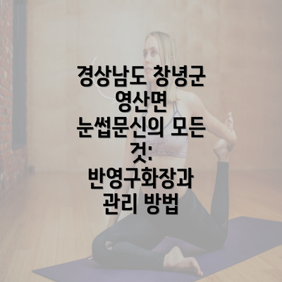 경상남도 창녕군 영산면 눈썹문신의 모든 것: 반영구화장과 관리 방법