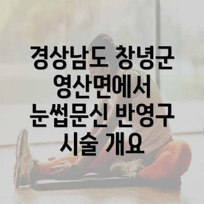 경상남도 창녕군 영산면에서 눈썹문신 반영구 시술 개요