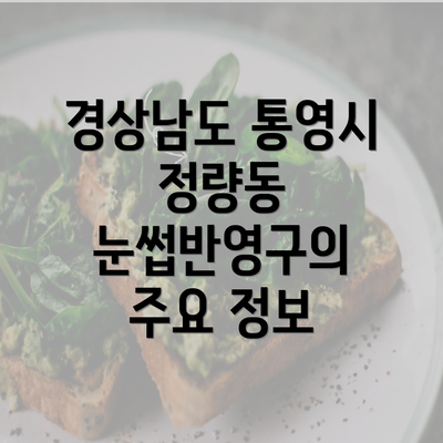 경상남도 통영시 정량동 눈썹반영구의 주요 정보