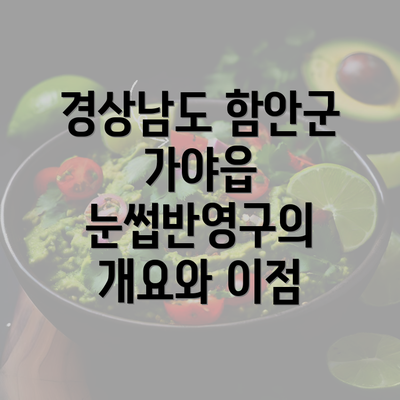 경상남도 함안군 가야읍 눈썹반영구의 개요와 이점