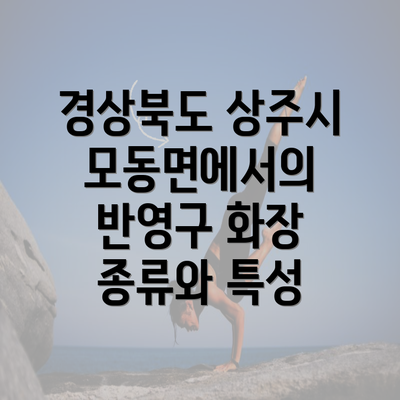 경상북도 상주시 모동면에서의 반영구 화장 종류와 특성