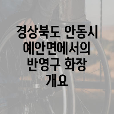 경상북도 안동시 예안면에서의 반영구 화장 개요