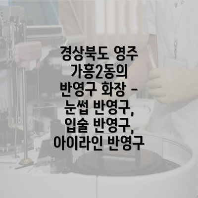 경상북도 영주 가흥2동의 반영구 화장 - 눈썹 반영구, 입술 반영구, 아이라인 반영구