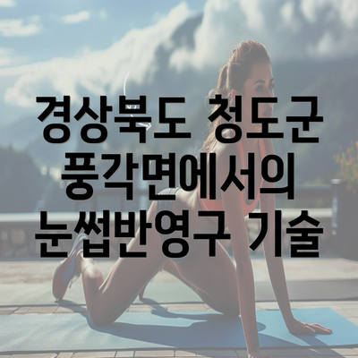 경상북도 청도군 풍각면에서의 눈썹반영구 기술