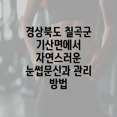 경상북도 칠곡군 기산면에서 자연스러운 눈썹문신과 관리 방법