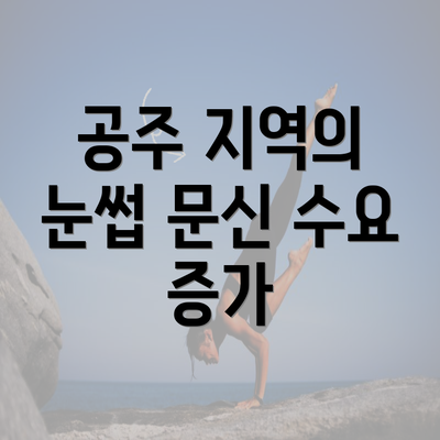 공주 지역의 눈썹 문신 수요 증가