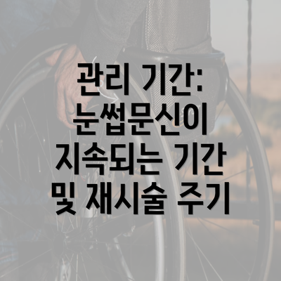 관리 기간: 눈썹문신이 지속되는 기간 및 재시술 주기