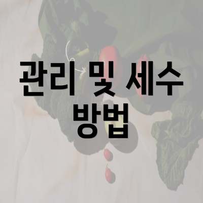 관리 및 세수 방법