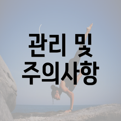 관리 및 주의사항