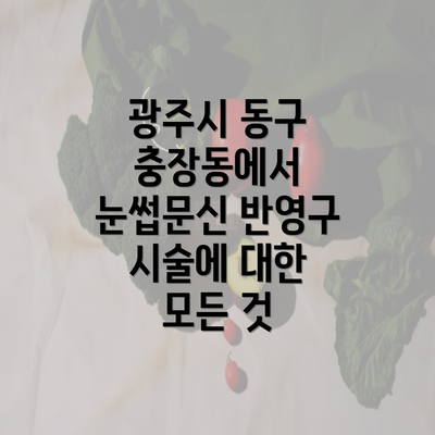 광주시 동구 충장동에서 눈썹문신 반영구 시술에 대한 모든 것