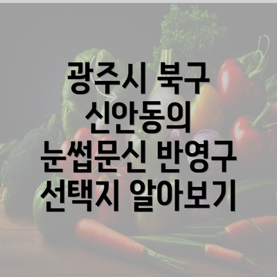 광주시 북구 신안동의 눈썹문신 반영구 선택지 알아보기