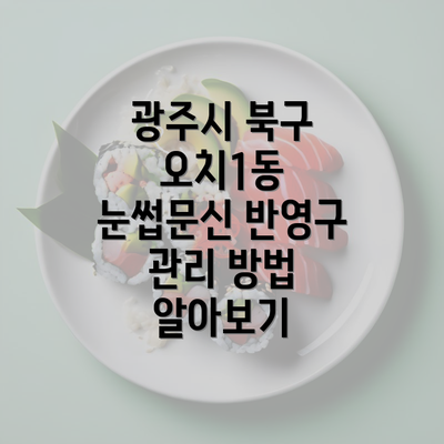 광주시 북구 오치1동 눈썹문신 반영구 관리 방법 알아보기