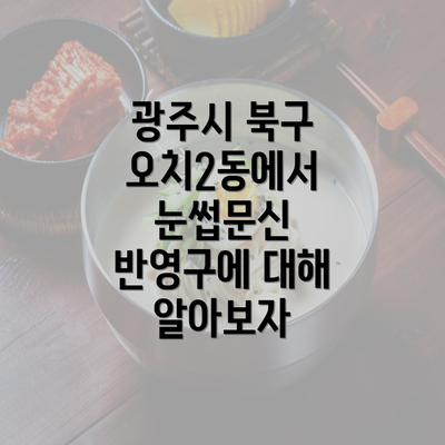 광주시 북구 오치2동에서 눈썹문신 반영구에 대해 알아보자