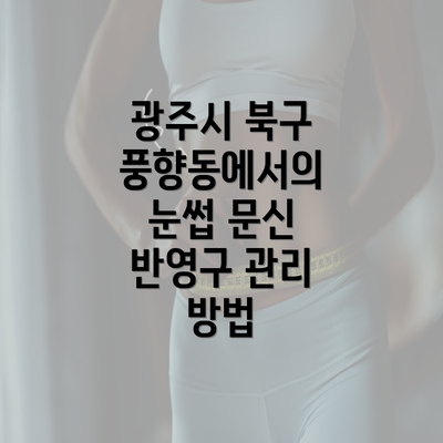 광주시 북구 풍향동에서의 눈썹 문신 반영구 관리 방법