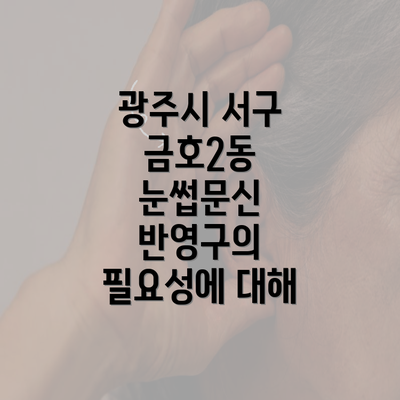 광주시 서구 금호2동 눈썹문신 반영구의 필요성에 대해