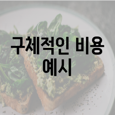 구체적인 비용 예시