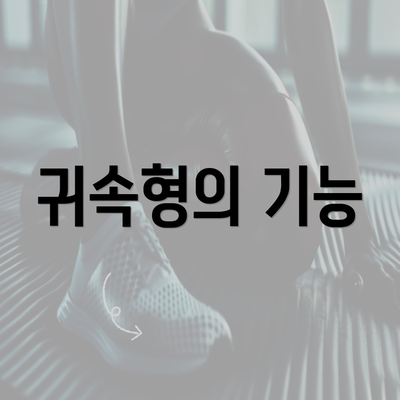 귀속형의 기능