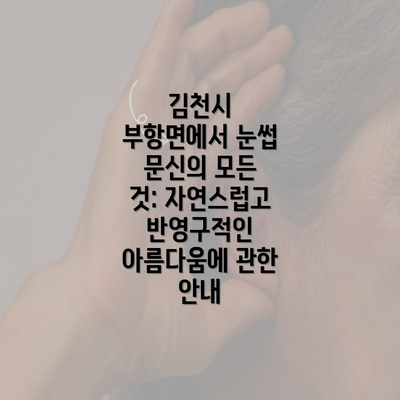 김천시 부항면에서 눈썹 문신의 모든 것: 자연스럽고 반영구적인 아름다움에 관한 안내