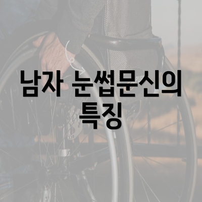 남자 눈썹문신의 특징