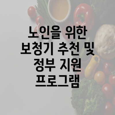 노인을 위한 보청기 추천 및 정부 지원 프로그램