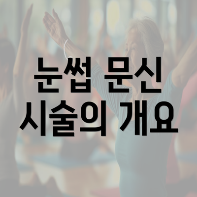 눈썹 문신 시술의 개요