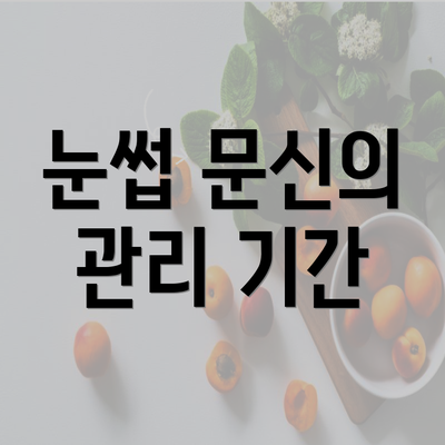 눈썹 문신의 관리 기간