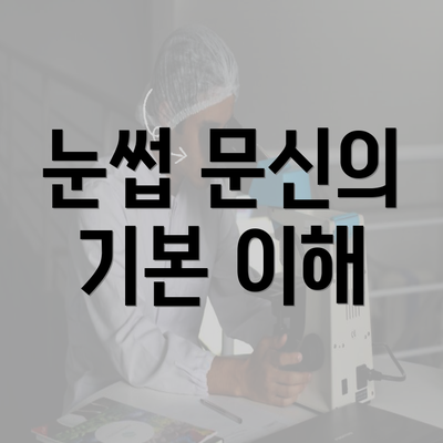 눈썹 문신의 기본 이해