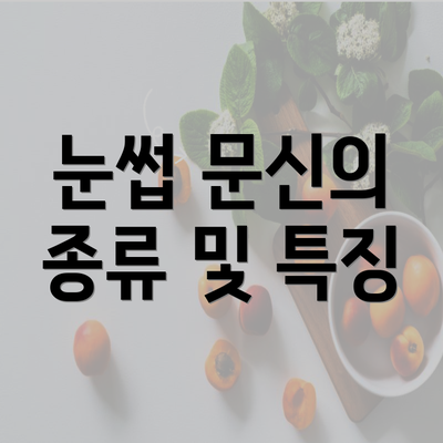 눈썹 문신의 종류 및 특징