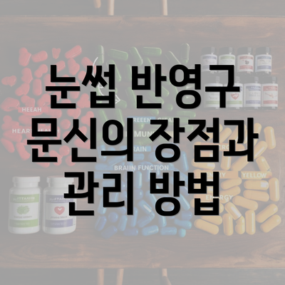 눈썹 반영구 문신의 장점과 관리 방법