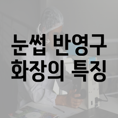 눈썹 반영구 화장의 특징