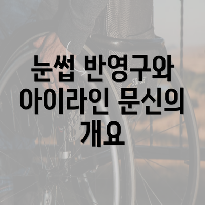 눈썹 반영구와 아이라인 문신의 개요