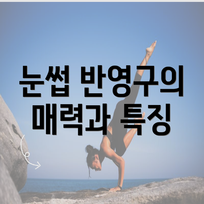 눈썹 반영구의 매력과 특징