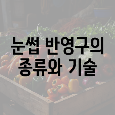 눈썹 반영구의 종류와 기술