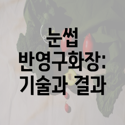 눈썹 반영구화장: 기술과 결과